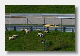 2006-06-10 1223